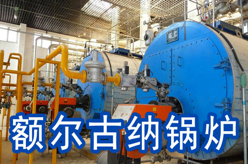 额尔古纳锅炉