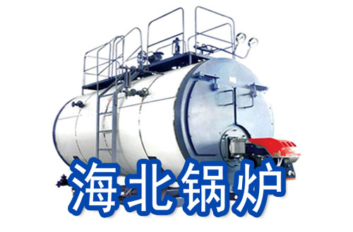 海北燃气锅炉