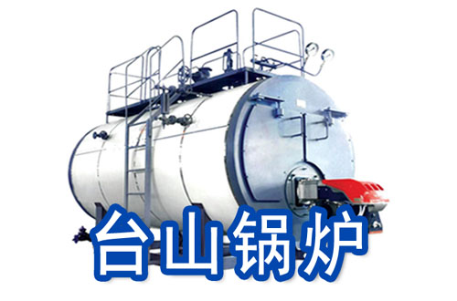 台山燃气锅炉
