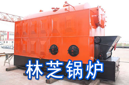 林芝锅炉